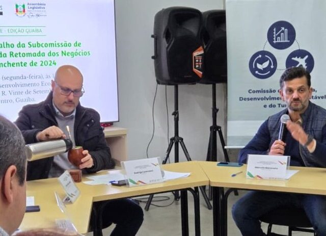 Subcomissão debate retomada econômica, obras de prevenção e alerta para impacto das enchentes na saúde mental