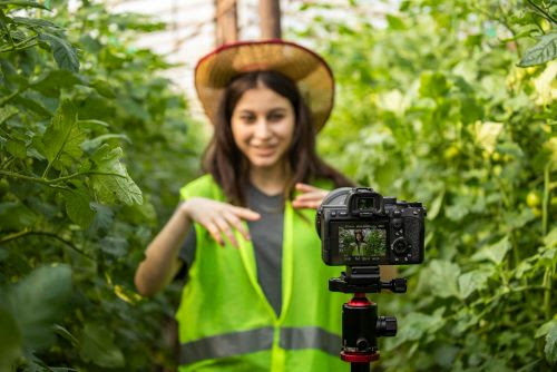 Abraji lança edital de financiamento de reportagens ambientais em 2025